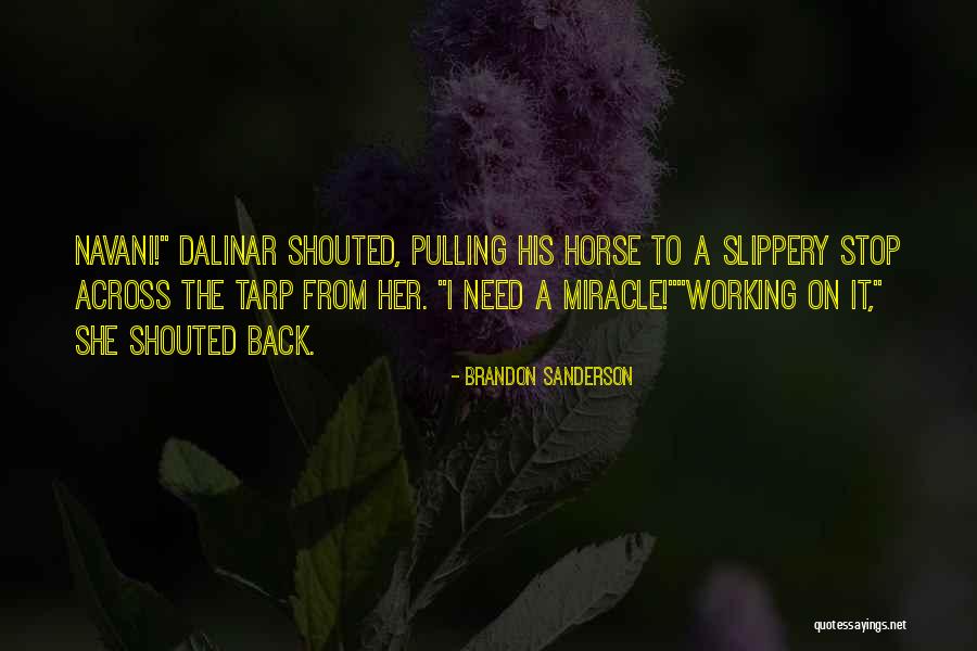 Navani Quotes By Brandon Sanderson Navani Quotes By Brandon Sanderson