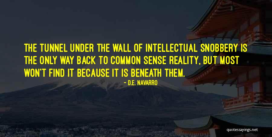 Navarro Quotes By D.E. Navarro