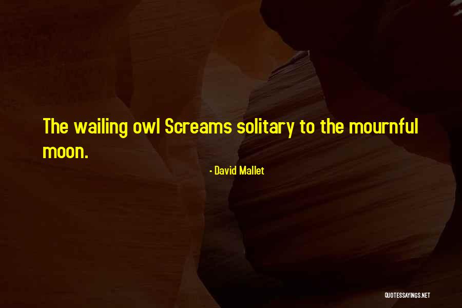 Navegabamos Quotes By David Mallet Navegabamos Quotes By David Mallet