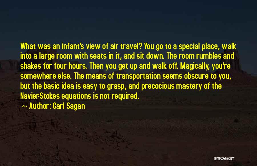 Navier Stokes Quotes By Carl Sagan