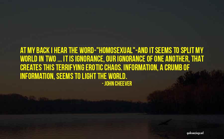 Navigating By The Stars Quotes By John Cheever Navigating By The Stars Quotes By John Cheever