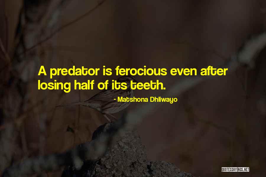 Navigators Hand Quotes By Matshona Dhliwayo Navigators Hand Quotes By Matshona Dhliwayo