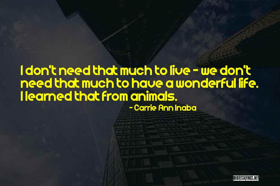 Navika Ball Quotes By Carrie Ann Inaba Navika Ball Quotes By Carrie Ann Inaba