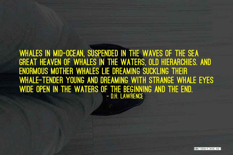 Navika Kotia Quotes By D.H. Lawrence Navika Kotia Quotes By D.H. Lawrence