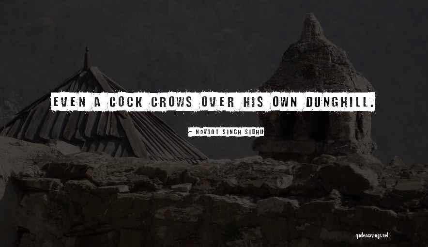 Navjot Sidhu Quotes By Navjot Singh Sidhu Navjot Sidhu Quotes By Navjot Singh Sidhu