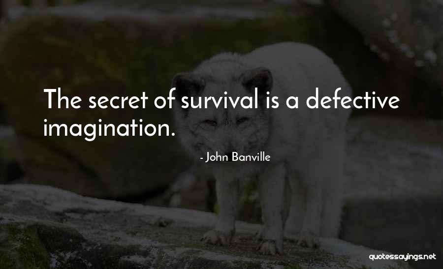 Navnirman Andolan Quotes By John Banville Navnirman Andolan Quotes By John Banville