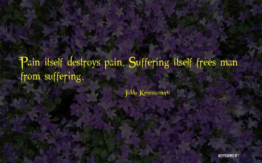 Navrotsky Restaurant Quotes By Jiddu Krishnamurti