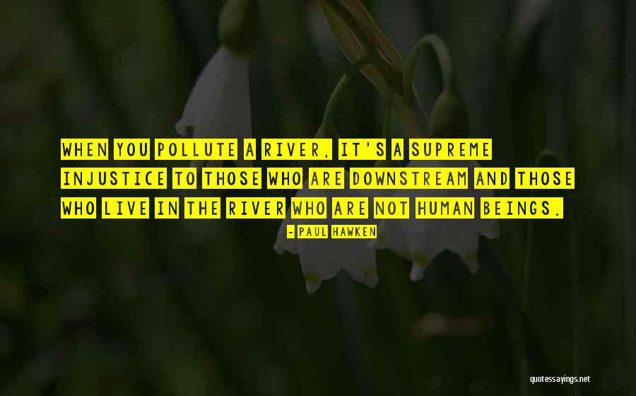 Navsikaya Quotes By Paul Hawken Navsikaya Quotes By Paul Hawken
