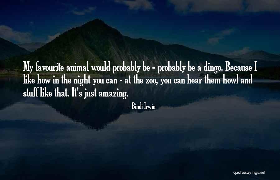 Navy Seals Romance Quotes By Bindi Irwin Navy Seals Romance Quotes By Bindi Irwin