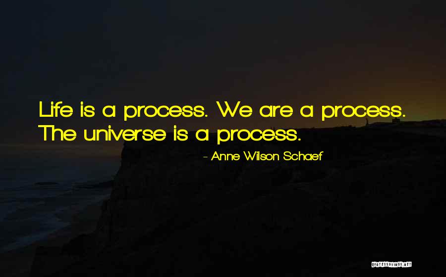 Nawas Tours Quotes By Anne Wilson Schaef Nawas Tours Quotes By Anne Wilson Schaef