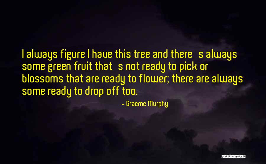 Nawet Zardi Quotes By Graeme Murphy Nawet Zardi Quotes By Graeme Murphy