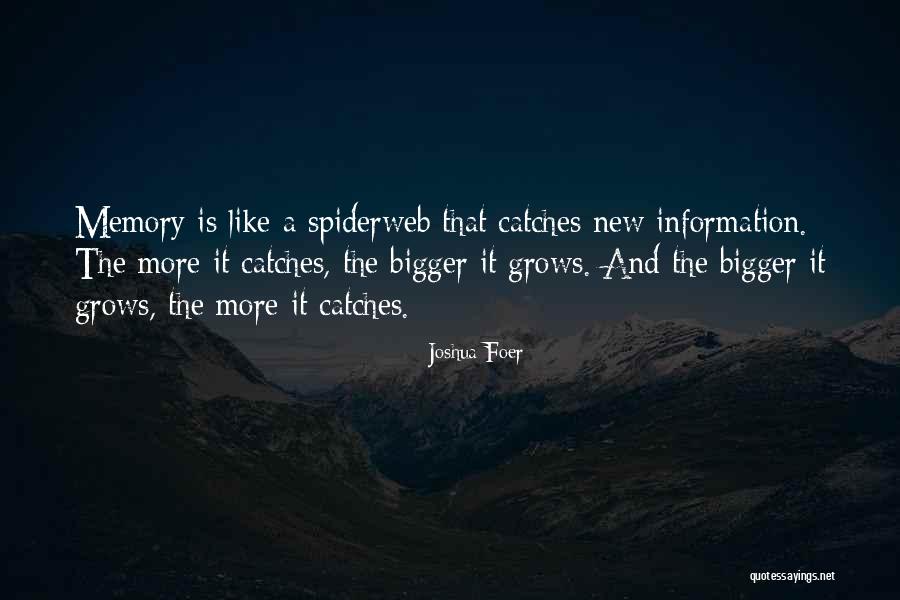 Nayara Energy Quotes By Joshua Foer