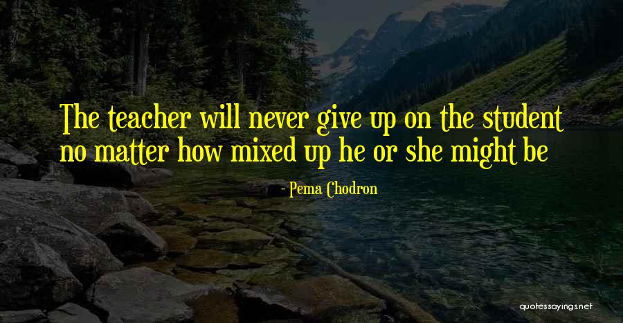 Nayasavera Quotes By Pema Chodron Nayasavera Quotes By Pema Chodron