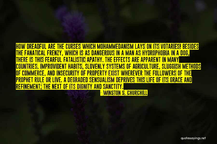 Nayebi Quotes By Winston S. Churchill Nayebi Quotes By Winston S. Churchill