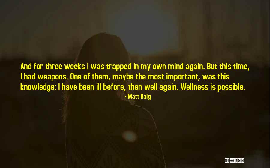 Naymark Llc Quotes By Matt Haig Naymark Llc Quotes By Matt Haig