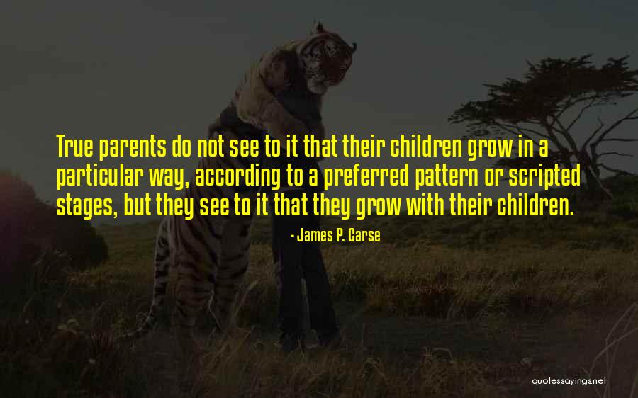 Nazakat Ludhiana Quotes By James P. Carse Nazakat Ludhiana Quotes By James P. Carse