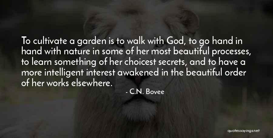 Nazanine Maryam Quotes By C.N. Bovee Nazanine Maryam Quotes By C.N. Bovee
