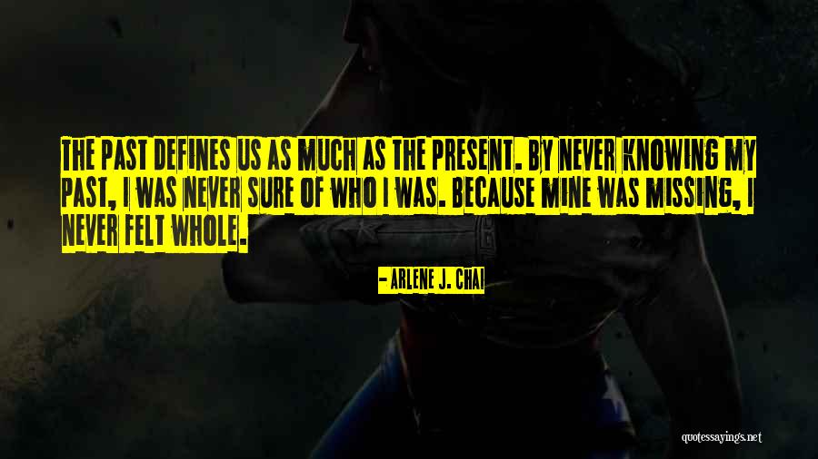 Nazih Zuhdi Quotes By Arlene J. Chai Nazih Zuhdi Quotes By Arlene J. Chai
