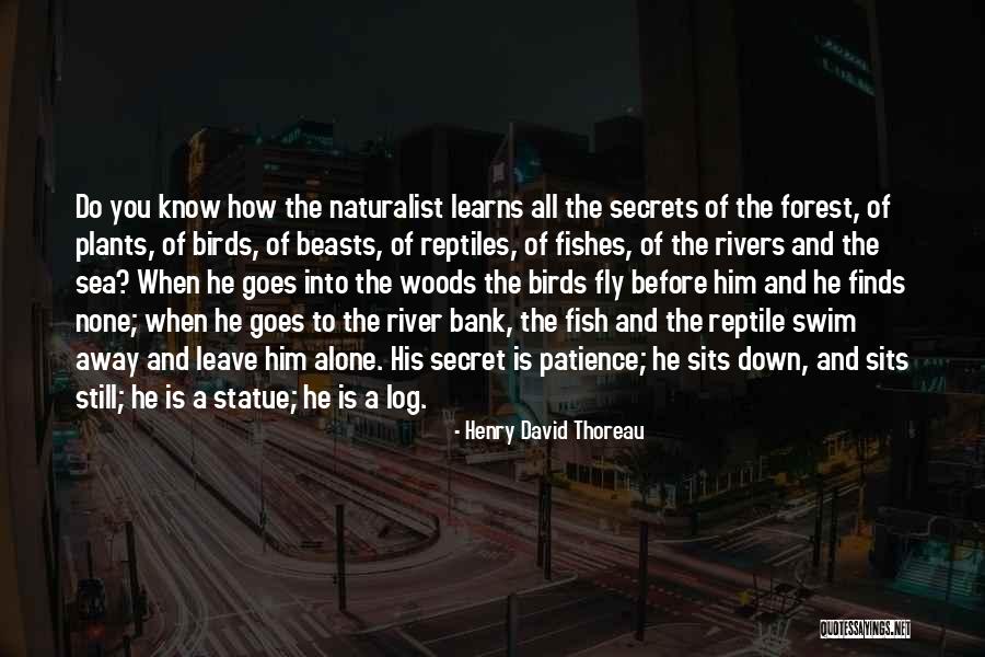 Nazila Khorasanchi Quotes By Henry David Thoreau Nazila Khorasanchi Quotes By Henry David Thoreau