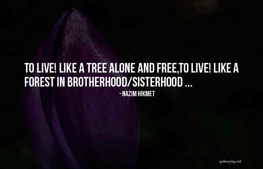 Nazim Hikmet Quotes 2144970 Nazim Hikmet Quotes 2144970