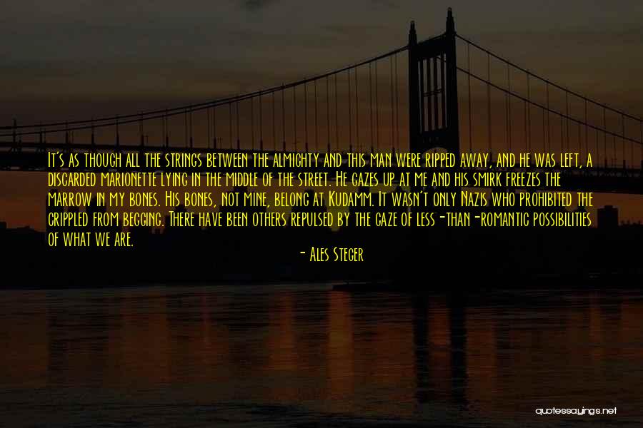 Nazis Quotes By Ales Steger Nazis Quotes By Ales Steger