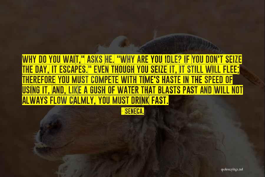 Nchildren Quotes By Seneca. Nchildren Quotes By Seneca.