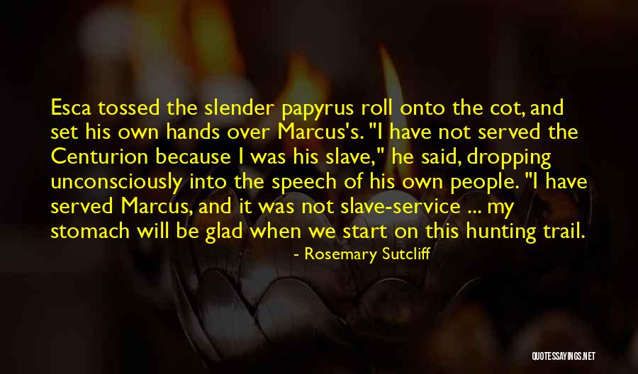 Ncrna Gene Quotes By Rosemary Sutcliff Ncrna Gene Quotes By Rosemary Sutcliff