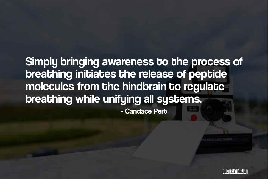 Ndabaningi Quotes By Candace Pert Ndabaningi Quotes By Candace Pert