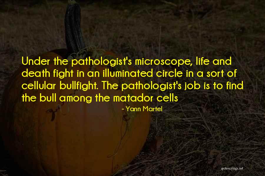 Ndoa Ni Quotes By Yann Martel Ndoa Ni Quotes By Yann Martel