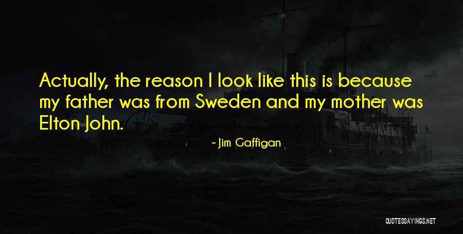 Neagra Remodel Quotes By Jim Gaffigan Neagra Remodel Quotes By Jim Gaffigan