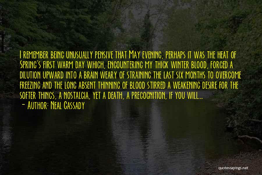 Neal Cassady Quotes 1203286