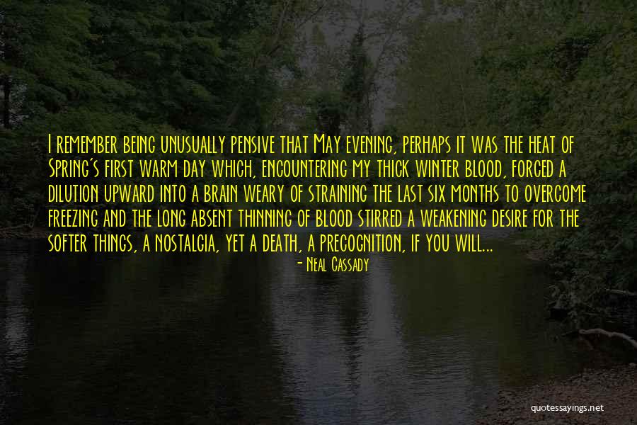 Neal Cassady Quotes 1203286