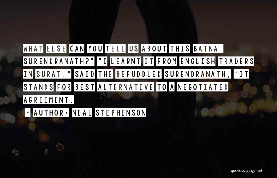 Neal Stephenson Quotes 638154