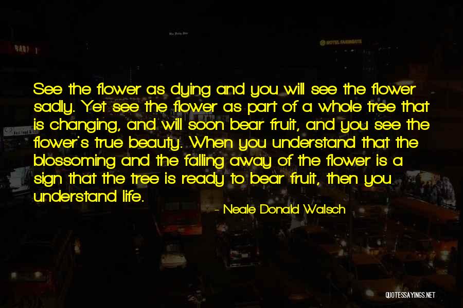 Neale Donald Quotes By Neale Donald Walsch