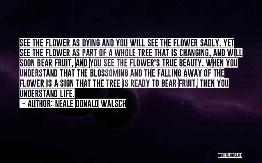 Neale Donald Walsch Quotes 342585