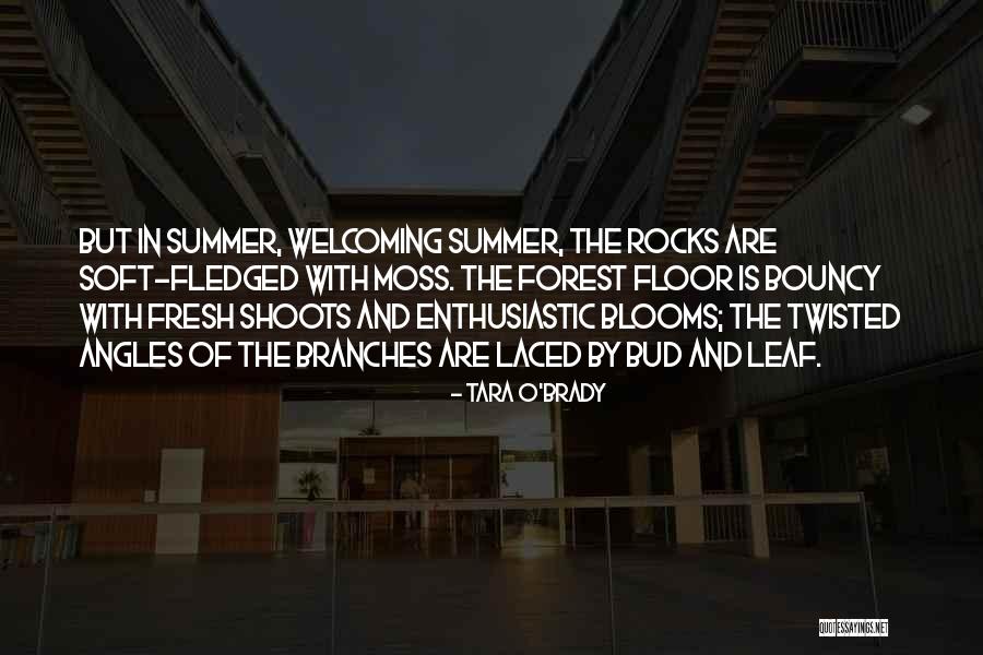 Nealy Sectional Quotes By Tara O'Brady Nealy Sectional Quotes By Tara O'Brady