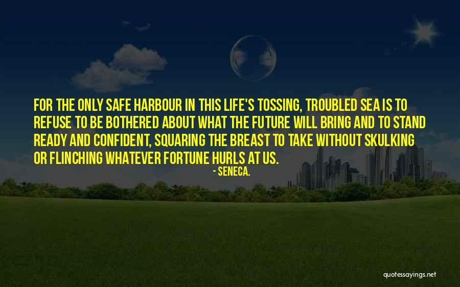 Neamh Mhairbh Quotes By Seneca. Neamh Mhairbh Quotes By Seneca.