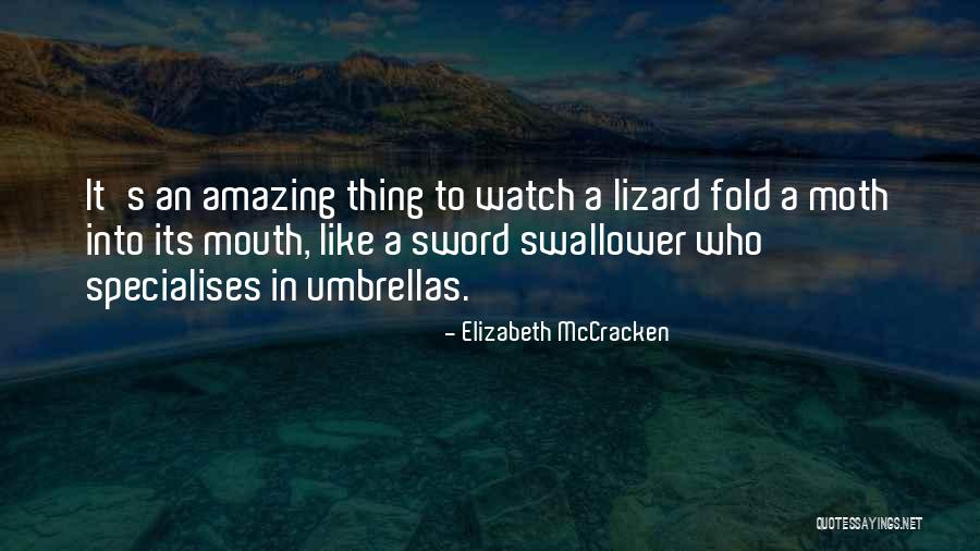Neans Mcsweeney Quotes By Elizabeth McCracken Neans Mcsweeney Quotes By Elizabeth McCracken