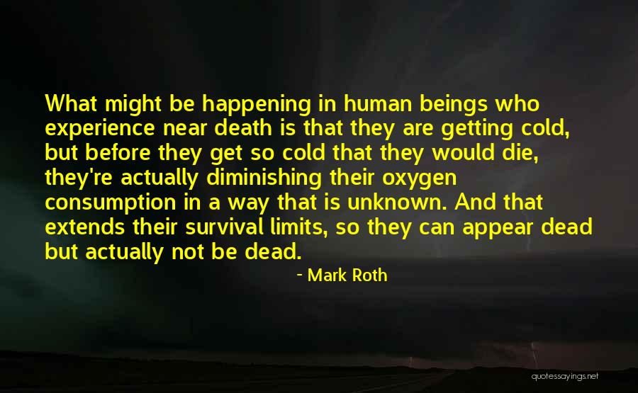 Near Death Experience Quotes By Mark Roth