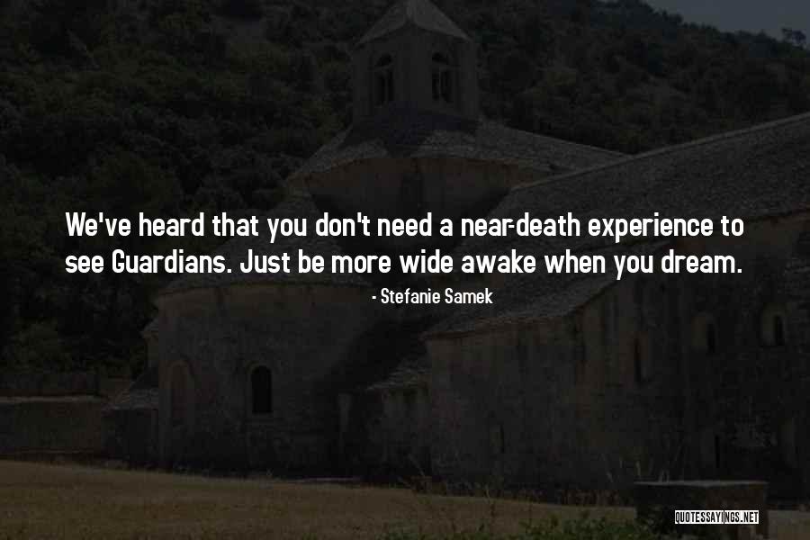 Near Death Experience Quotes By Stefanie Samek