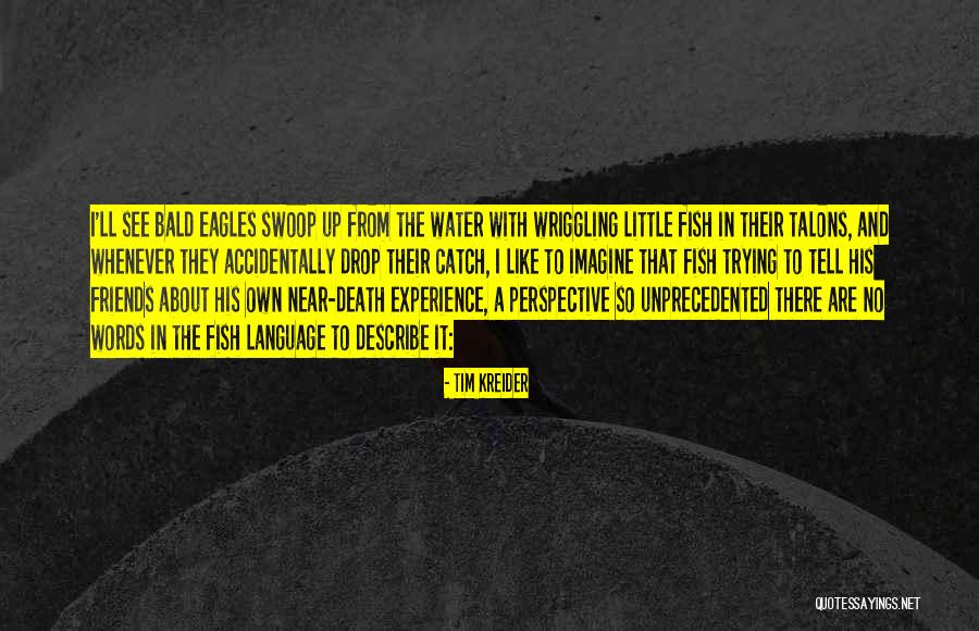 Near Death Experience Quotes By Tim Kreider Near Death Experience Quotes By Tim Kreider