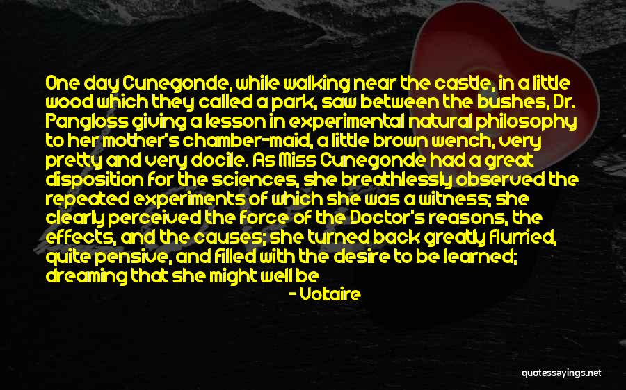 Near Miss Quotes By Voltaire Near Miss Quotes By Voltaire