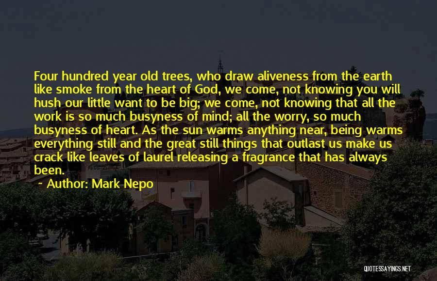 Near Or Far Always In My Heart Quotes By Mark Nepo