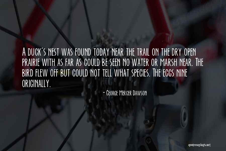 Near Quotes By George Mercer Dawson Near Quotes By George Mercer Dawson