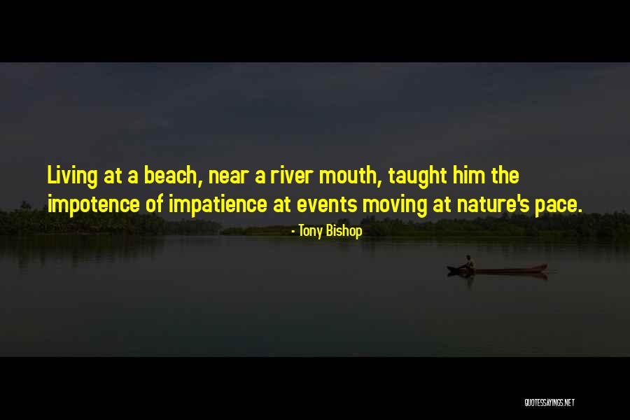Near Quotes By Tony Bishop Near Quotes By Tony Bishop