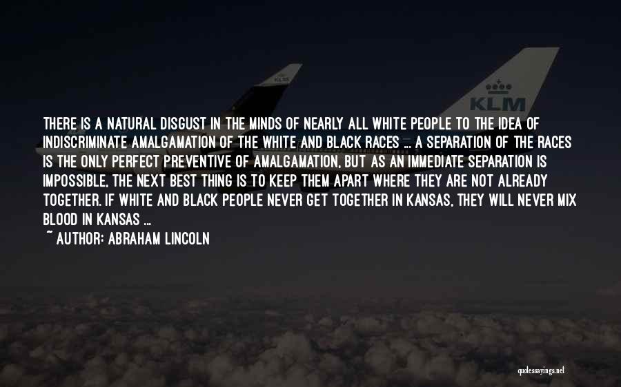 Nearly Natural Quotes By Abraham Lincoln