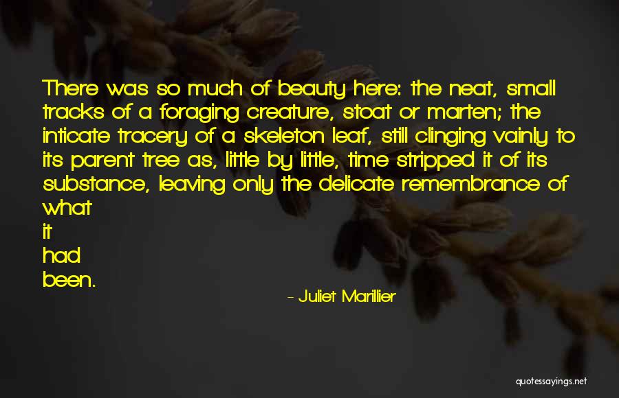 Neat Quotes By Juliet Marillier