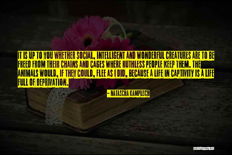 Neatheat Quotes By Natascha Kampusch Neatheat Quotes By Natascha Kampusch