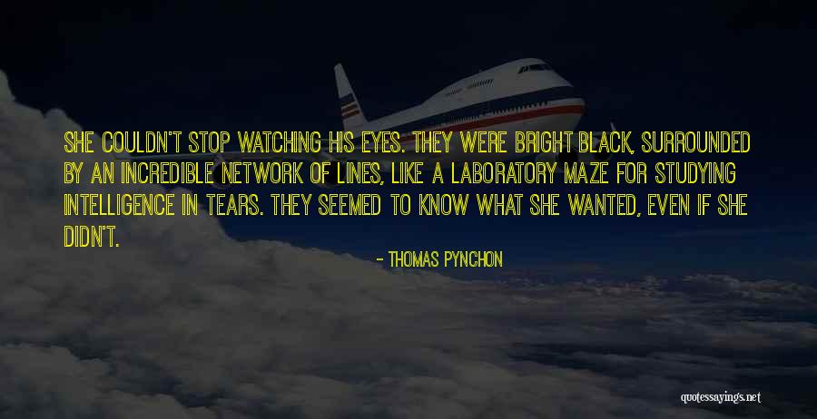 Neaville Dentist Quotes By Thomas Pynchon Neaville Dentist Quotes By Thomas Pynchon