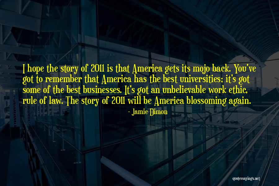 Nebentisch Quotes By Jamie Dimon Nebentisch Quotes By Jamie Dimon